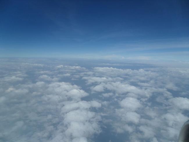 SAM_1290_resize.JPG
